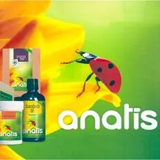 Nahrungsergänzungsmittel Nahrungsergänzungsmittel